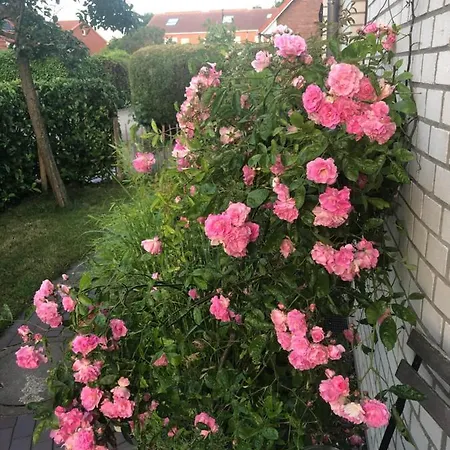 Moderne In Strandnaehe Διαμέρισμα