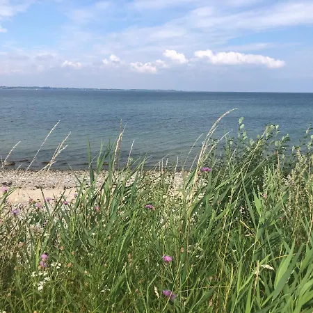 Moderne In Strandnaehe *